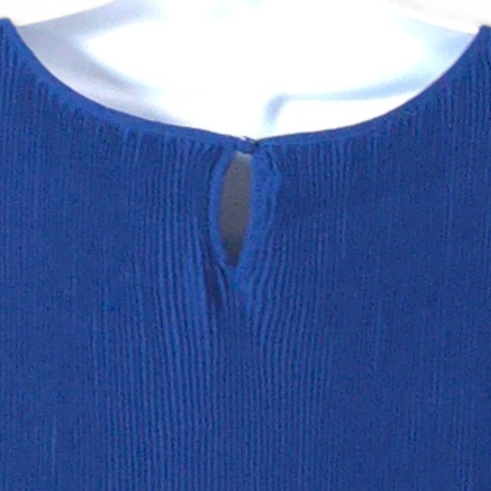 Roz & Ali Womens 2X Blue Pleated Peplum Tank Top Sleeveless Plus Size EUC - Picture 6 of 9